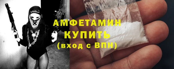 гидра Богданович