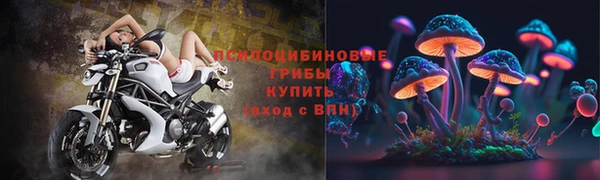 гидра Богданович