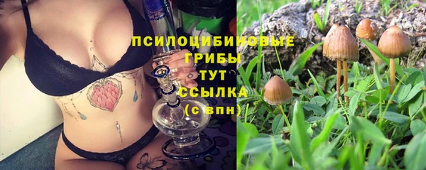 героин Белокуриха