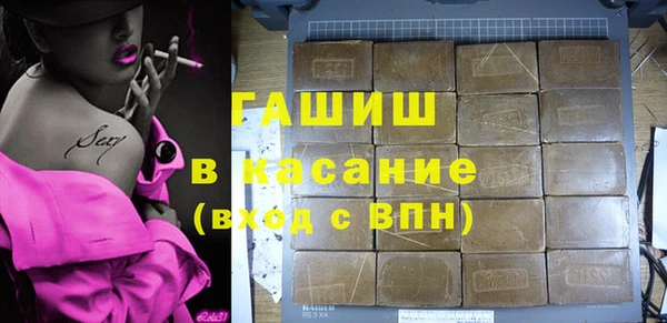 гидра Богданович