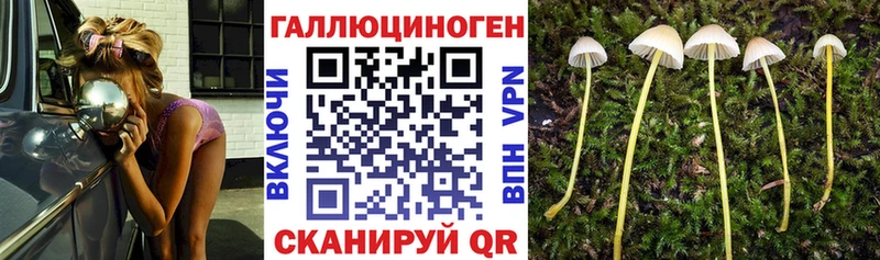 Галлюциногенные грибы прущие грибы  как найти закладки  Кедровый 
